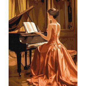 Malowanie po numerach - Wspaniały pianista 40x50cm