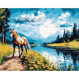 Malowanie po numerach 40x50 Koń