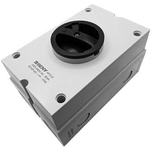 Διακόπτης AC 4P, 63A, 230VAC, IP65