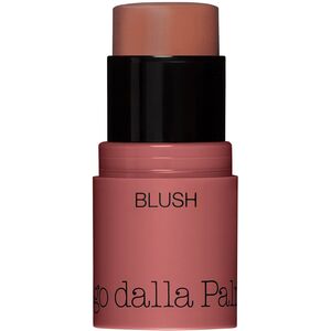 Diego Dalla Palma, All In One, Blush Stick, 44, Biscuit, 4 g For Women