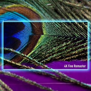 Τηλεόραση PANASONIC 55" 4K/Smart 3840x2160 Ασύρματο LAN Bluetooth Google TV TV-55W90AEG