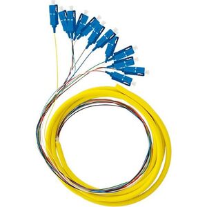 Qoltec Pigtail światłowodowy, 12x SC/APC, SM, G657A2, 2m (54362)
