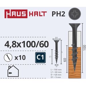 DRYWALL SCR FOR WOOD 4.8X100/60 10PCS O2