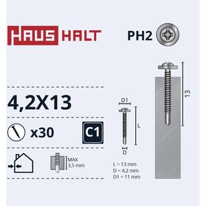 ΒΙΔΑ ΑΥΤΟΔΙΑΤΡΗΤΗ 4,2X13 ΜΕΤ/ΜΕΤ+ΤΡΥΠΑΝΙ ZN 30ΤΕΜ