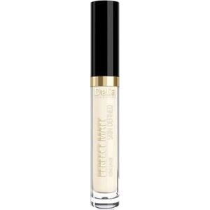 Delia Skin Defined Perfect Matt korektor 3g Ivory (02)