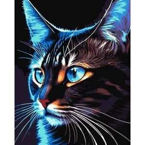 Malowanie po numerach - Cosmo-cat 40x50cm