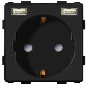 Kištukinis lizdas su USB Feelspot