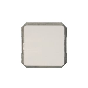 WHITE LX200 SWITCH P110-010-12 V