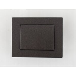 SWITCH FLUSH NO FRAME ANT XP