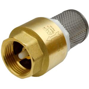 CHECK VALVE 4117025 1 IN WITH FILTER