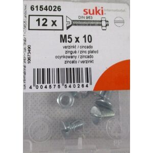 MACHINE SCREW M 5X10 ZINC DIN963/12PCS
