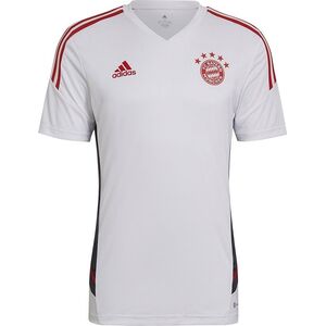 Adidas Koszulka adidas FC Bayern Training HB0621