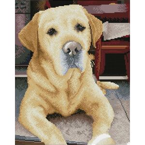 DIAMOND DOTZ Διαμαντένιο κέντημα Diamond Dotz Diamond μωσαϊκό Labrador King 48x58cm DQ10027 13914747 4895225926312
