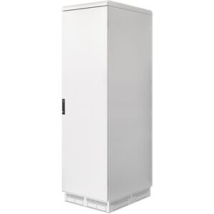 INTELLINET IP55 48,26cm 19 ιντσών Netzwerkschrank με ενσωματωμένους ανεμιστήρες 42HE 800mm βαθύς ανθεκτικός στη σκόνη και στο νερό, τοποθετημένος γκρι RAL7035
