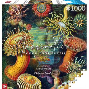 Good Loot Good Loot Puzzle: Ernst Haeckel - Sea Anemones