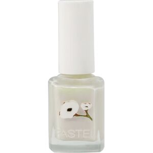 Pastel Lakier do paznokci 13ml (409)