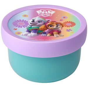 ΚΟΥΤΙ ΦΡΟΥΤΩΝ CAMPUS 300 ML PAW PATROL GIRLS 107430065397