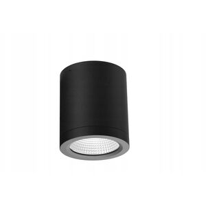 Azzardo Conyon AZ6027 πλαφονιέρα φωτιστικό οροφής spot IP54 1x15W LED 3000-4000-6000K 900 lm μαύρο