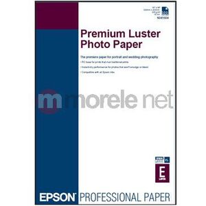 Epson A3+ (C13S041785)