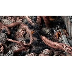 Gamers Grass Gamers Grass: Grass tufts - 6 mm - Alien Void (Wild)
