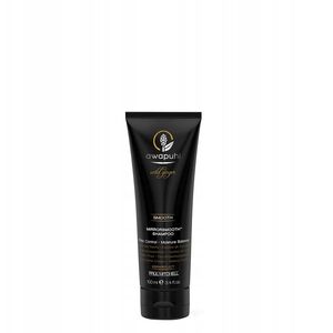 Awapuhi Wild Ginger By PAUL MITCHELL, Λείανση, Χωρίς Θειικά Άλατα, Σαμπουάν Μαλλιών, Κατά του Φριζαρίσματος, 100 ml Για Γυναίκες