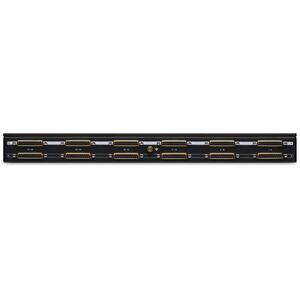 Μαύρο Λιοντάρι PBR TT - Krosownica TT DB25