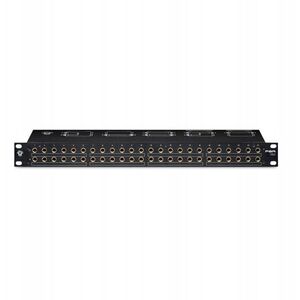 Μαύρο Λιοντάρι PBR TRS 3 - Krosownica TRS 1/4