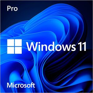 MS FPP WIN Pro FPP 11 64-bit Γερμανικά 1 Άδεια USB Flash Drive (DE)