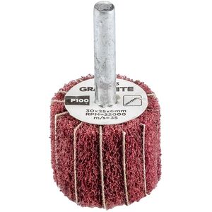 Ściernica listkowa trzpieniowa 30 x 25 x 6 mm, P100