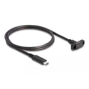 DELOCK SuperSpeed USB 10 Gbps (USB 3.2 Gen 2) Καλώδιο USB Τύπου