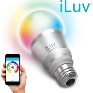 iLuv iLuv Rainbow7