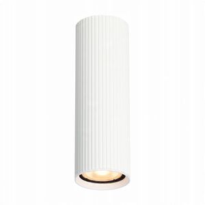 Italux Rilok CLN-83920-M-WH plafon lampa sufitowa spot 1x10W GU10 biały
