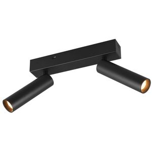 LED προβολέας TRIO AMBALA, 2x5W, 2300/3000/4000K 2x500 lm μαύρο 16.5x15x4cm