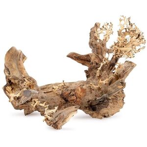 Ton�ce drzewo Bonsai nr 50 50x40