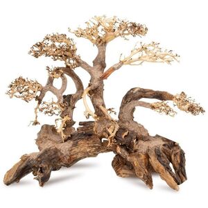 Ton�ce drzewo Bonsai nr 59 70x50