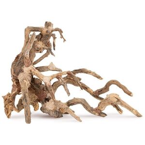 Ton�ce drzewo Bonsai nr 64 75x45