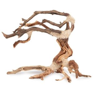 Ton�ce drzewo Bonsai nr nr 24 35x25