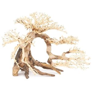 Ton�ce drzewo Bonsai nr 63 80x50