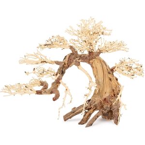 Ton�ce drzewo Bonsai nr 13 70x50
