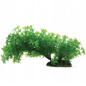 Aqua Natura,  ro�lina, do dekoracji akwarium, zielona, plastikowa, 23 cm , rozlegla ro�lina na w�skiej podstawce
