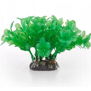Aqua Natura,  ro�lina, do dekoracji akwarium, zielona, plastikowa, 10 cm , wodna paprotka