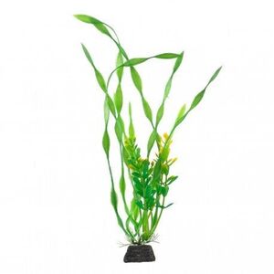 Aqua Natura,  ro�lina, do dekoracji akwarium, zielona, plastikowa, 20 cm , laminaria