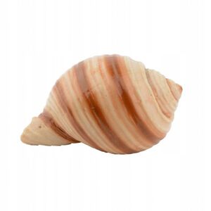Aqua Natura Dekoracja akwarystyczna koralowiec zielony du�y 14cm