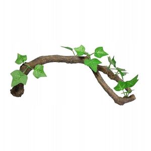 Terra Natura Dekoracja terrarystyczna ga��� z li��mi d�uga 34cm