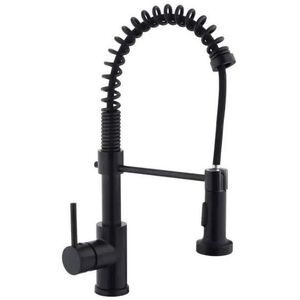 Kitchen faucet ZEGOR NHK12-A048