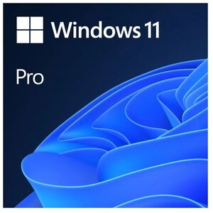 Λειτουργικό σύστημα Microsoft Windows Pro 11 64-bit Slovak USB