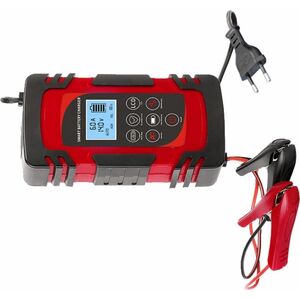 Φορτιστής μπαταρίας με οθόνη LCD Alburnus DFA-42 8A 12/24V