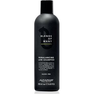 Alfaparf Šampūnas nuo pleiskanų riebiems plaukams vyrams Alfaparf Milano Blends Of Many 250 ml
