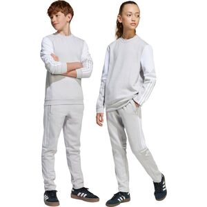 Spodnie dla dzieci adidas Squadra 25 Sweat szare JD4823 128cm