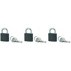 Pakabinama spyna SERRUPRIX Acera, 9 raktai, zalvarine, 30 mm, 3 vnt., 988230
